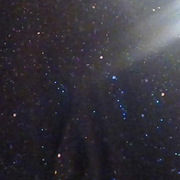 pants - Picture 2 of 2